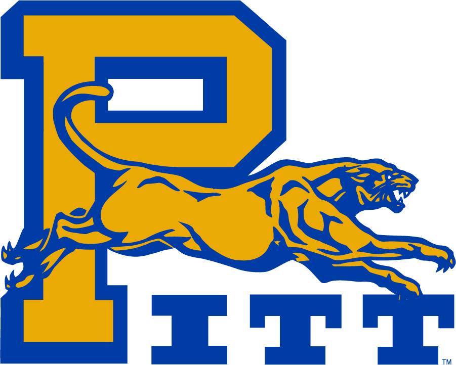 Pittsburgh Panthers 1974-1987 Alternate Logo diy DTF decal sticker